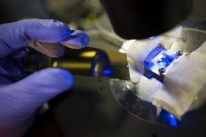 wireless-electrochemistry