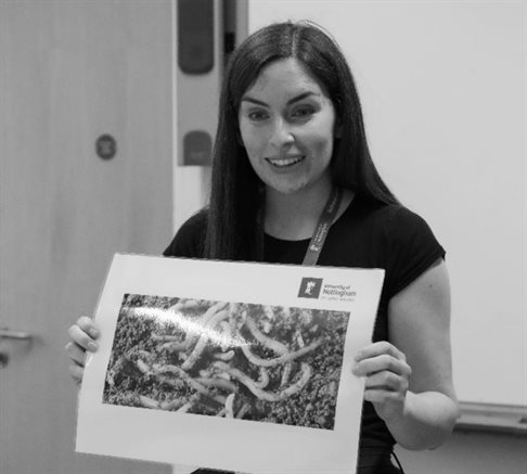 Undergrad outreach 2