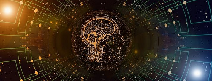 outline of human head against a network background