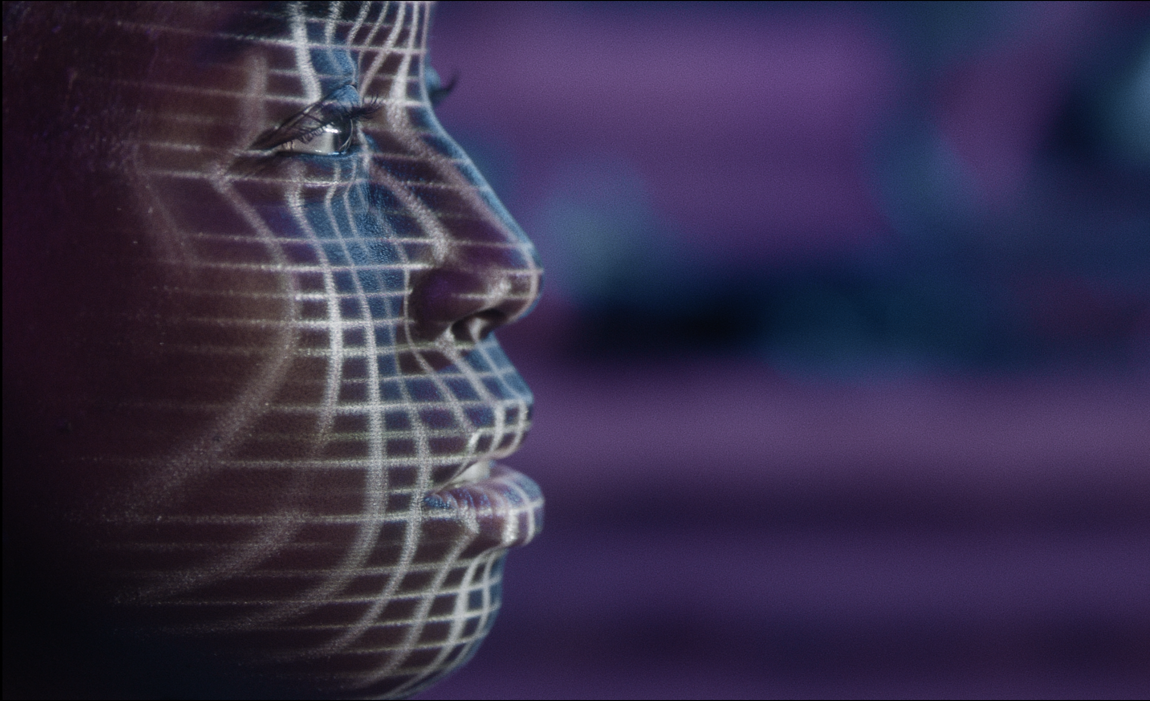 Credit AlbinoMosqBefore We Disappear 2022-10-05 at 09.17.01