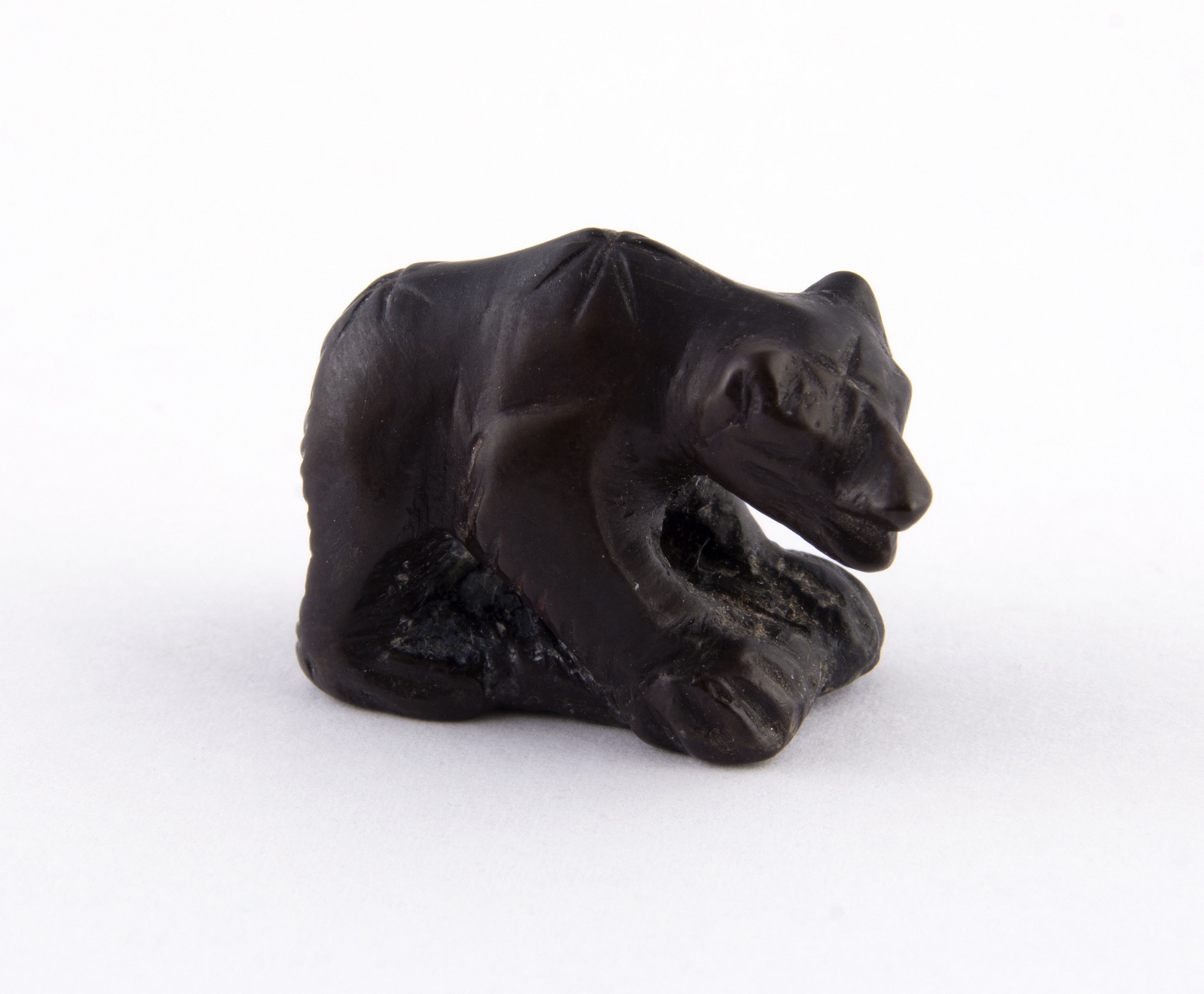 Credit_SheffieldMuseumsTrust_Jet Bear