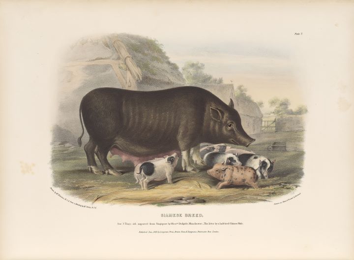 Image 2 -English countryside