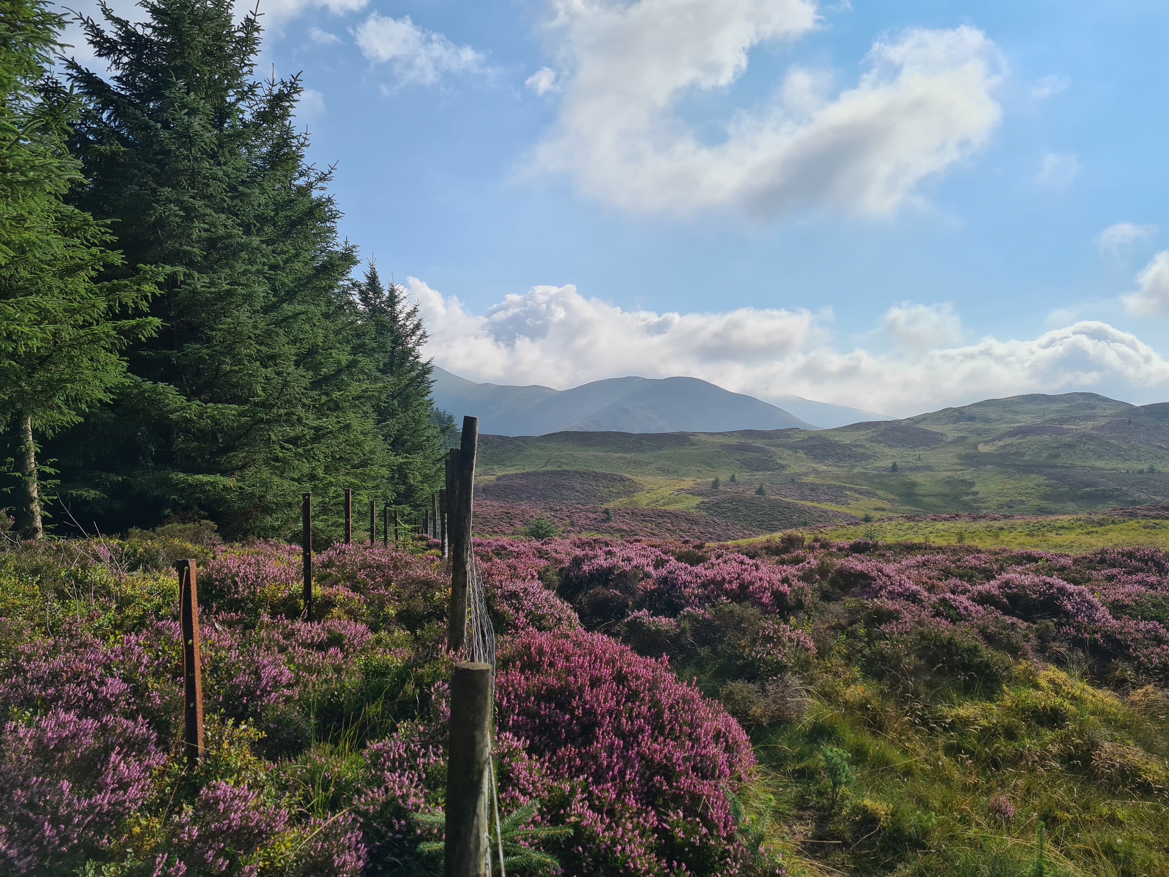 Image credit Beth Cole University of Leicester