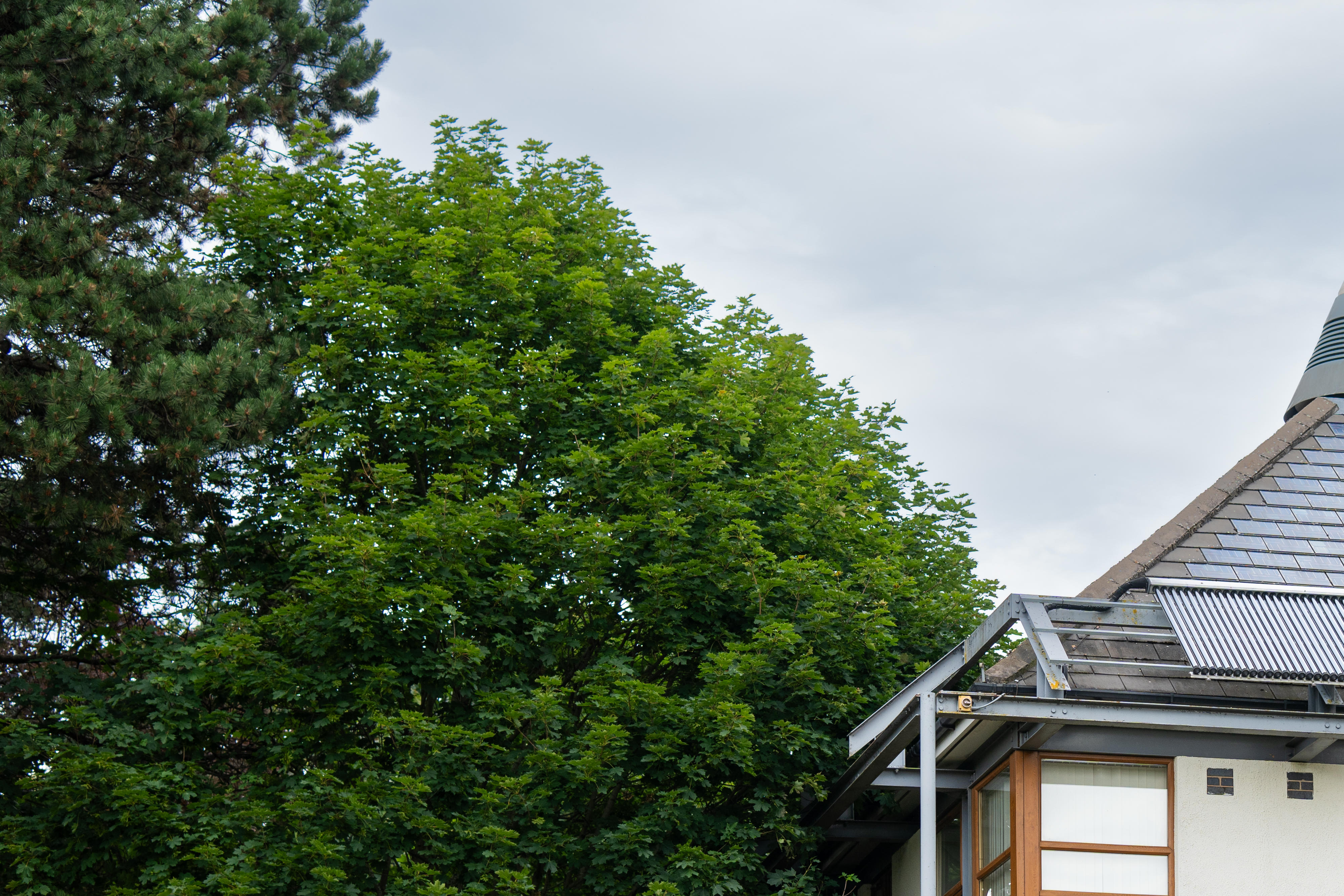 Creative Energy Homes general