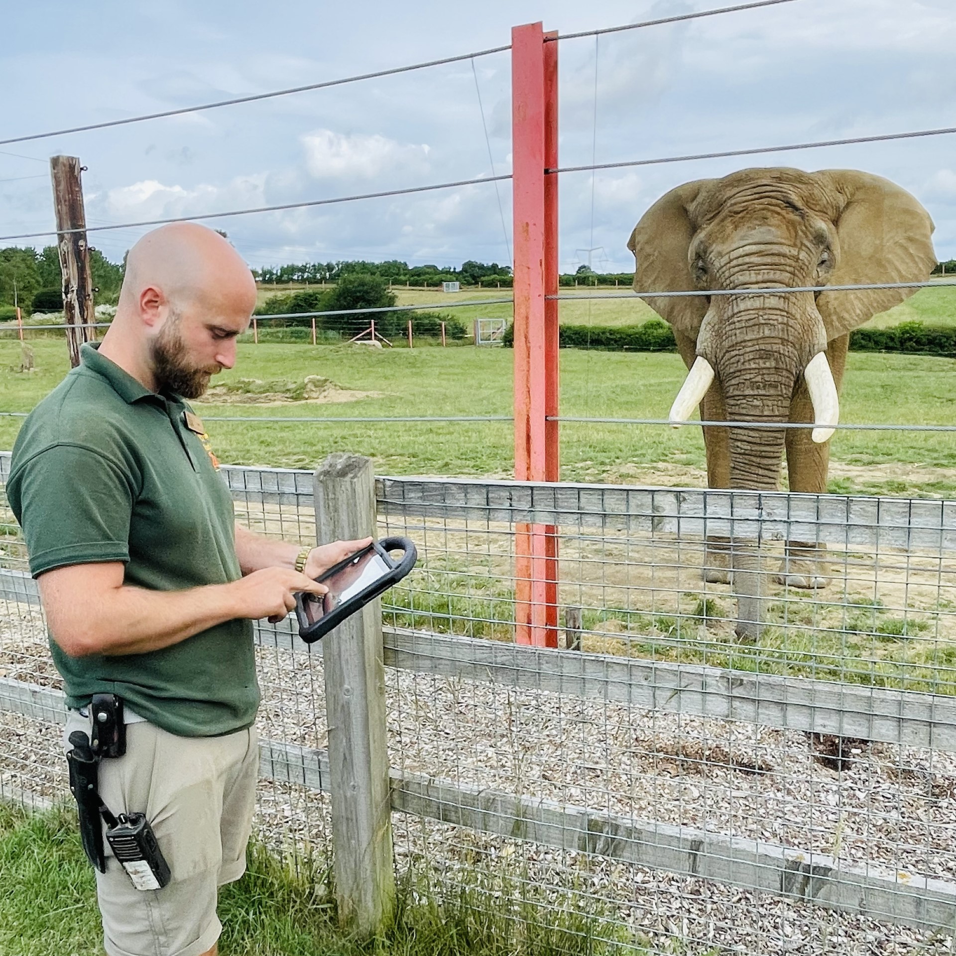 Head Elephant Keeper Tom Lindsey using the Elephant Welfare App