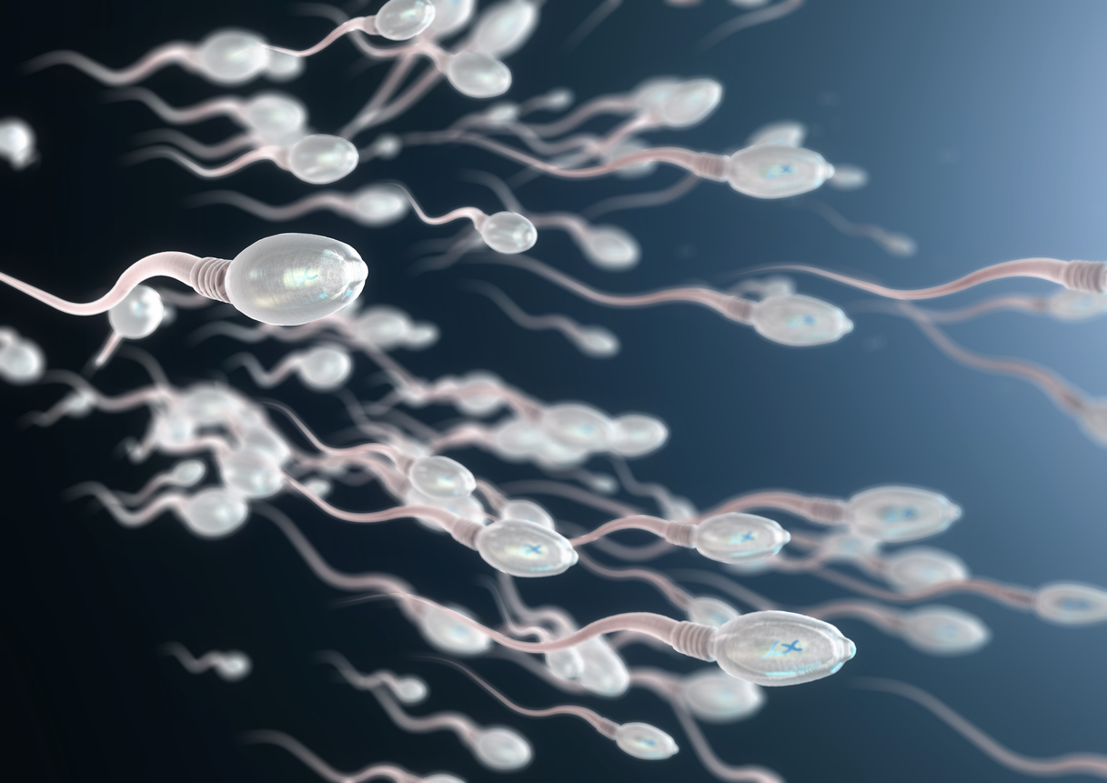 Sperm event