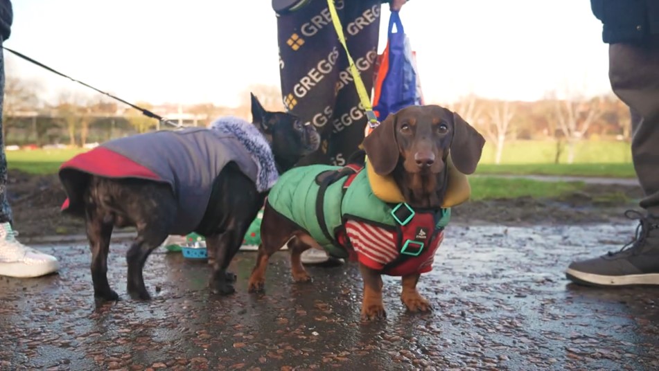 Vets in the Community