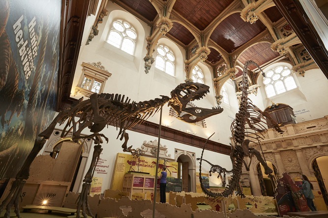 Museum displaying dinosaur