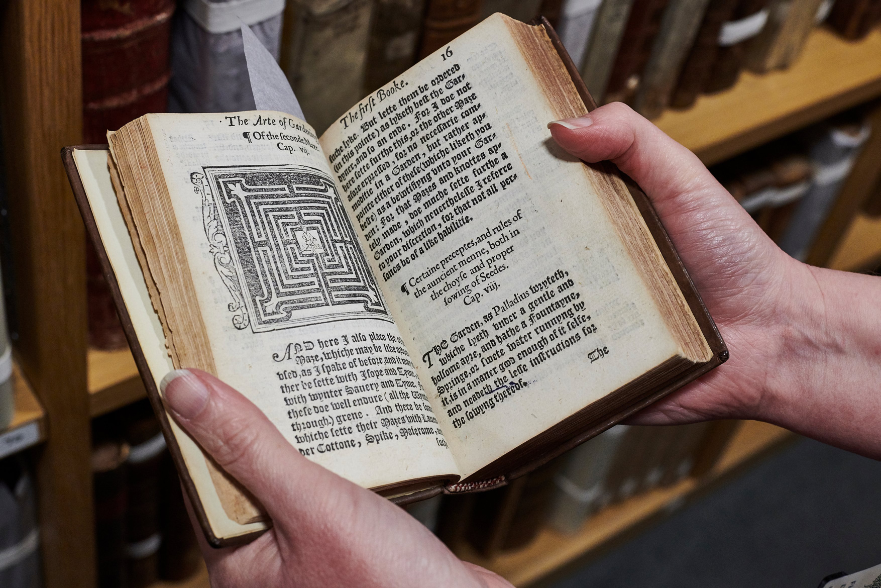 Press-RHS-AdrianGreen139web