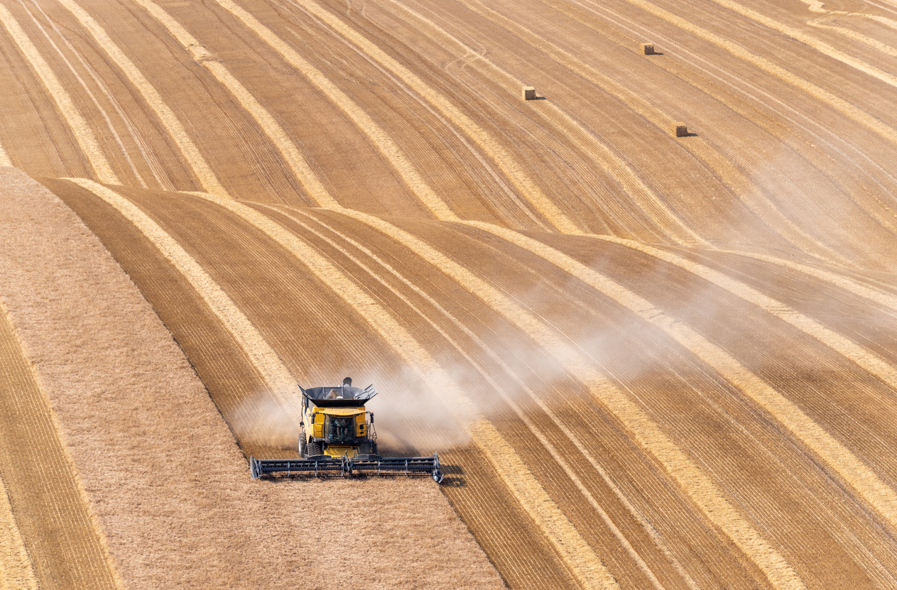 IS18072023FPagriculture