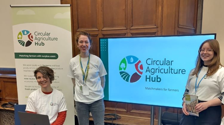 CAH - Founders - Anne Lucy Ursula