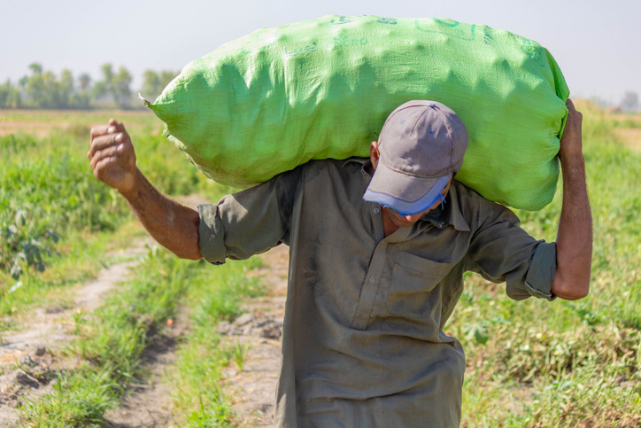 Human cost of healthy eating-iStock-2156908281
