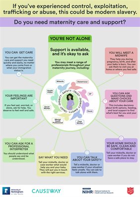 Safe Space - Infographic Survivor Mothers