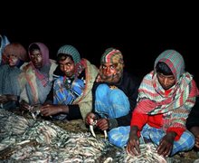 slavery in fisheries
