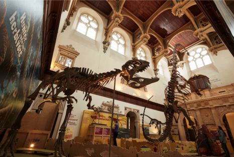 Wollaton Hall Dinosaurs of China Exhibt