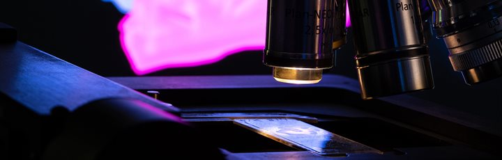 1920x830 Light microscope HS08597