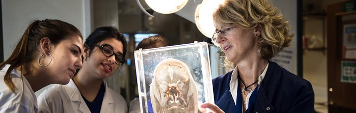1920x830 Female undergraduates studying an anatomy model, Anatomy Suite, Nottingham Medical School 26535repro