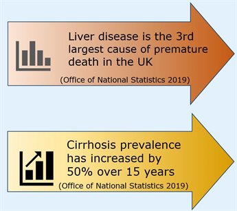 Liver disease stats