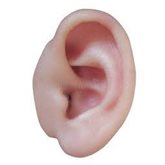 A left ear