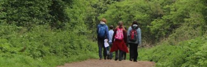 Photograph of a group of people wearing coats and backpacks walking away from the camera down a sloping lane lined with greenery