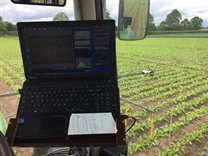 View from inside tractor with crops.