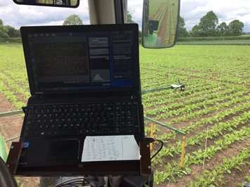 View of field from tractor