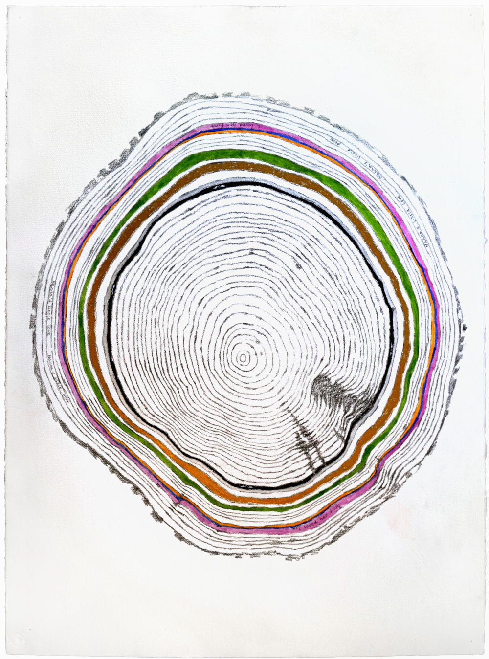 Painting of cross section of tree showing rings, some in colour