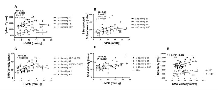 quant_MRI_portal_hypertension