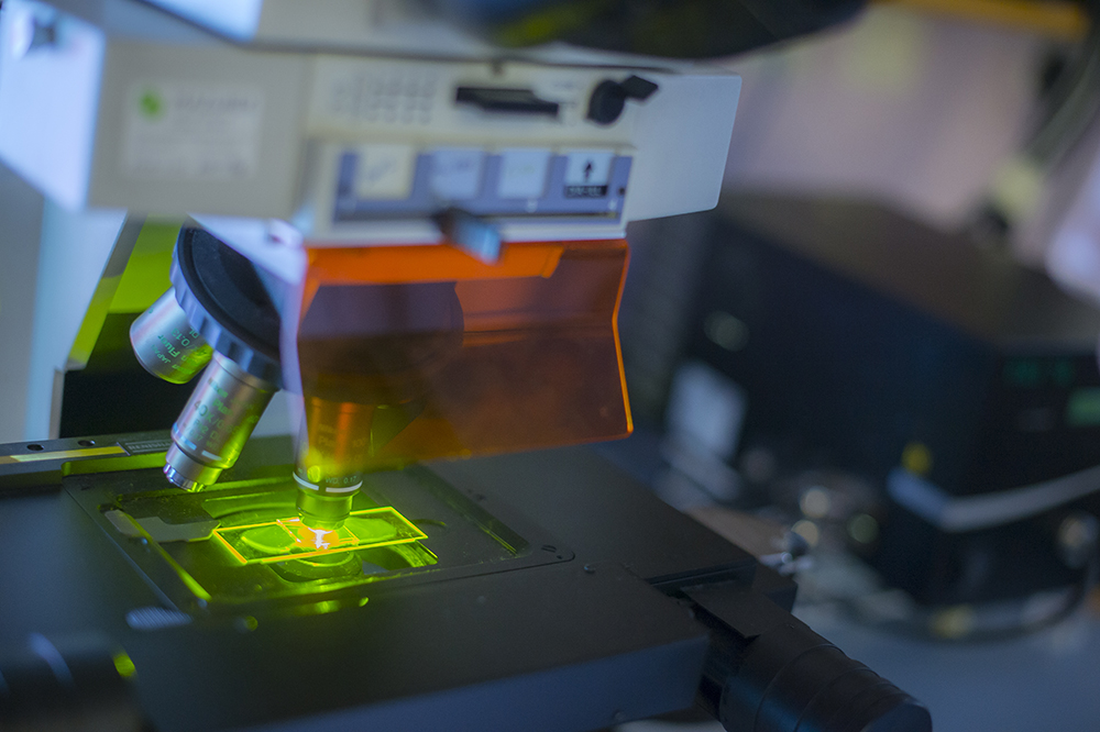 Bacterial communities theme