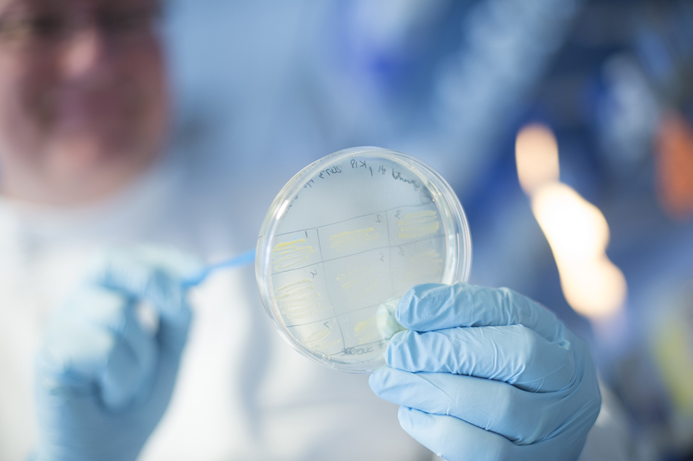 Bacterial phenomics theme