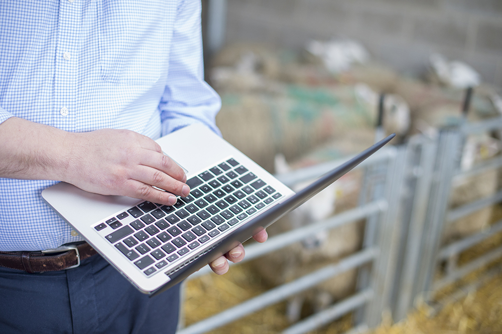 Data analysis, machine learning and bioinformatics theme