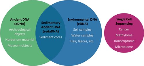 ÆDNA applications