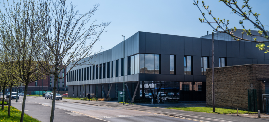 Untitled design (37)