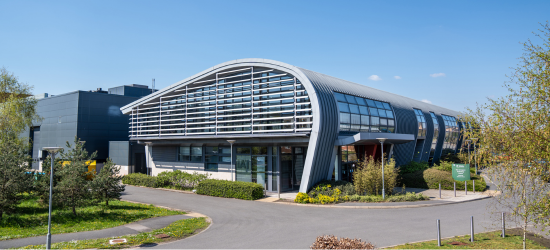 Untitled design (38)