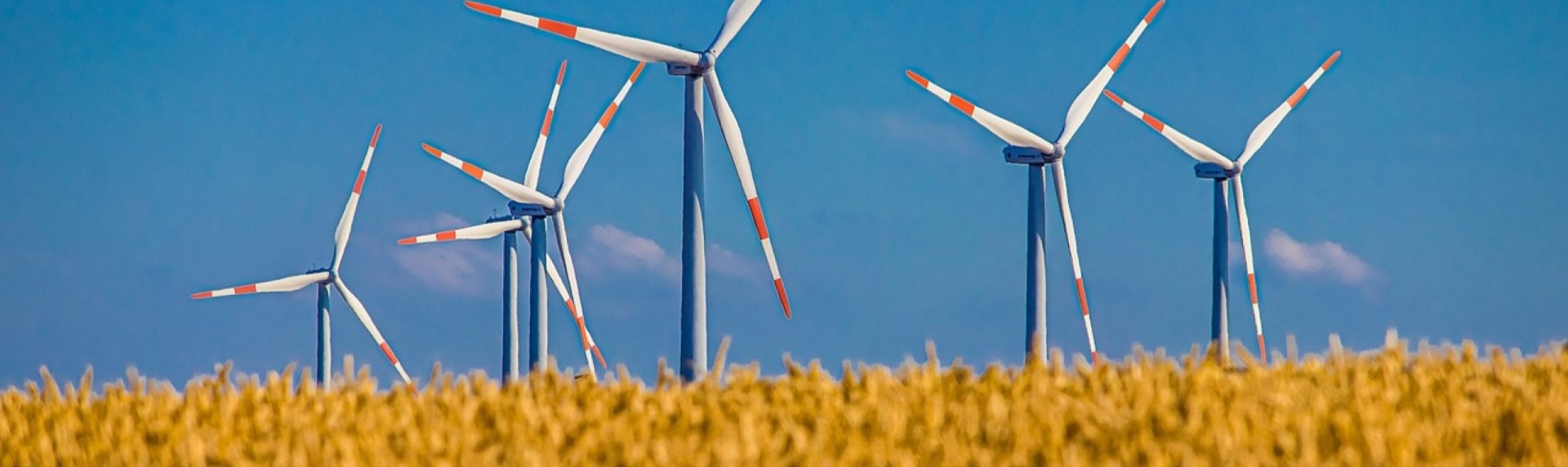 windmills in a field