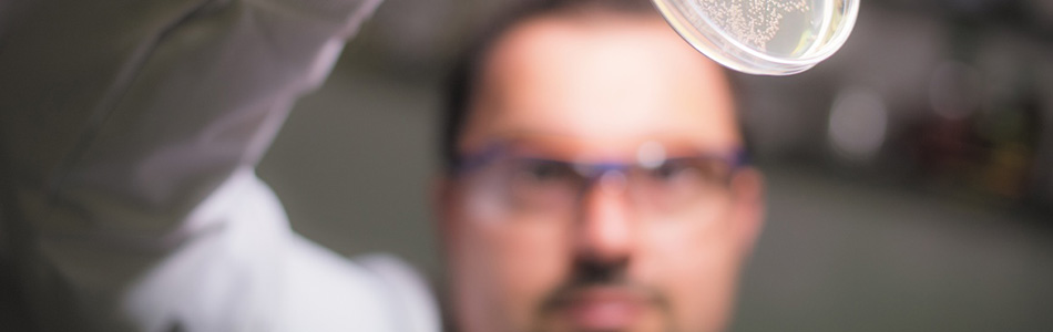 Detecting bowel cancer earlier through population screening