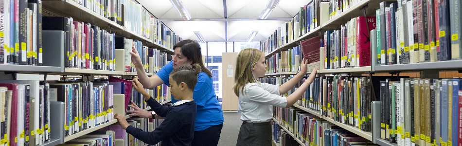 Pupils looking at library950x300