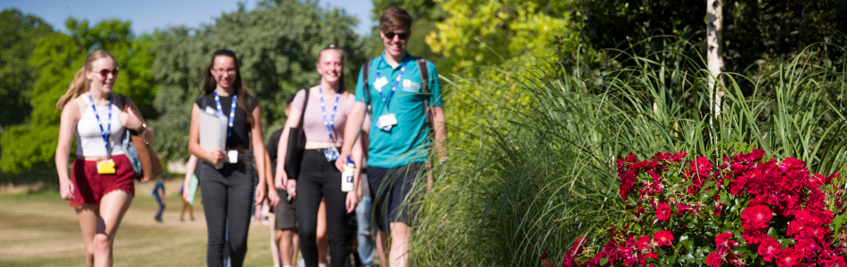 Summer School Ambassador profiles