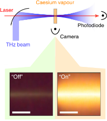 2018_Terahertz_Phase_Transition