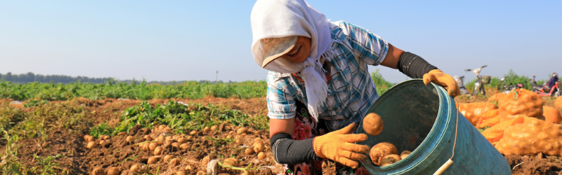 food labour-3-food labour