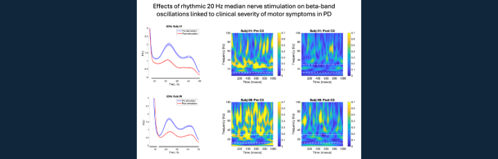Stephen J 400 x 400-2