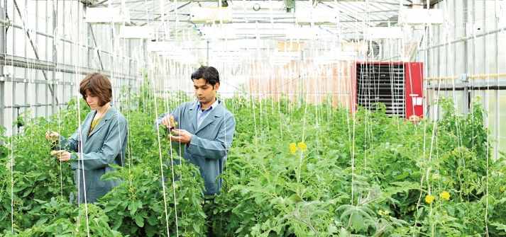 scientists in greenhouse