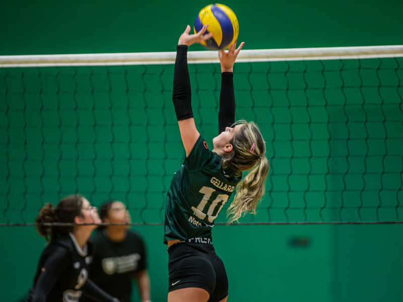 Performance Volleyball Image Gallery 8