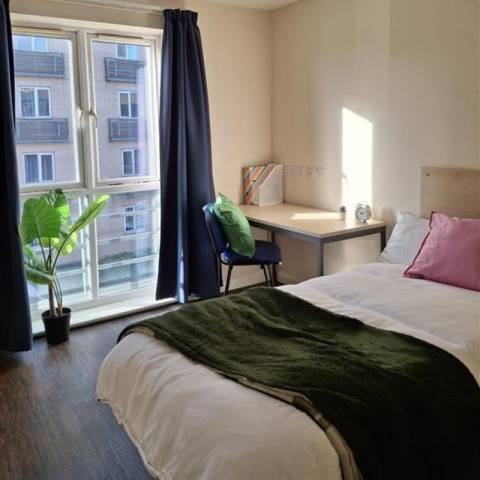 Raleigh Park Essential Standard