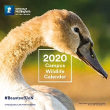 calendar cover 2020 220x