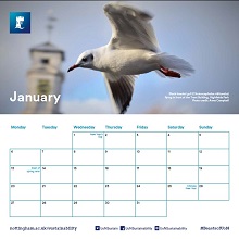 jan calendar page 2020