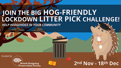 2014LockdownLitterPick