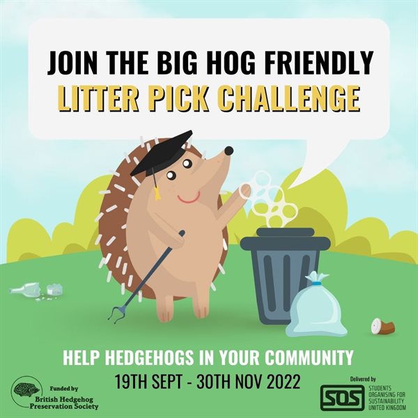 Big Hog friendly litter pick Challenge Square
