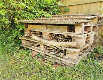 wood pile