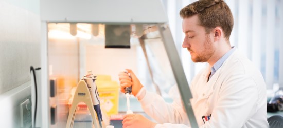 Male researcher working in a Tissue Culture Laboratory, Nottingham Medical School, Queens Medical Centre